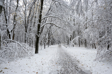 Winter view of South Park in city of Sofia, Bulgaria