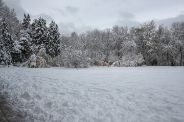 Winter view of South Park in city of Sofia, Bulgaria