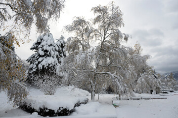 Winter view of South Park in city of Sofia, Bulgaria