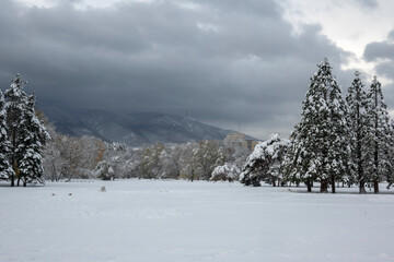 Winter view of South Park in city of Sofia, Bulgaria