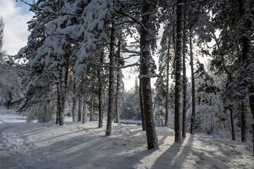 Winter view of South Park in city of Sofia, Bulgaria