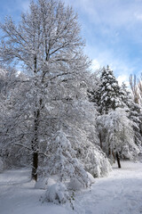 Winter view of South Park in city of Sofia, Bulgaria