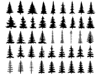 Pine Trees Bundle, Pine Elements, Tree Silhouettes, Hand Drawn Vector Illustration