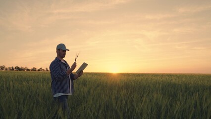 Farmer with computer tablet evaluates green wheat sprouts in field at sunset. Businessman works...