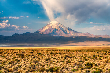 Fototapeta premium Sajama