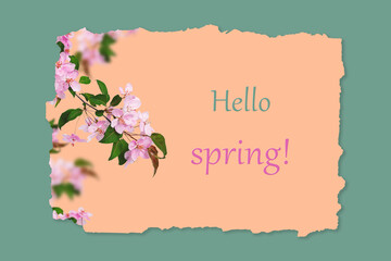 Creative spring mockup. Branches with pink apple tree flowers on beige background. Main background...