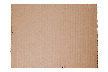 Cardboard partition with rough edges isolated on white background. Kraft cardboard texture.
