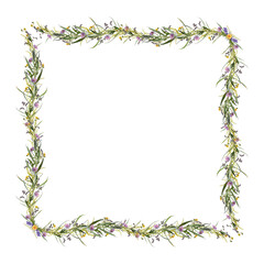 Square frame with meadow flowers and herbs isolated on white background. Element for creating collage or design, postcards, greeting cards, wedding cards and invitations.