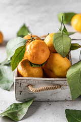 Tangerines (oranges, clementines, citrus fruits) with green leaves in wooden box on white textured background