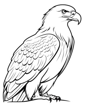 a drawing of a bird