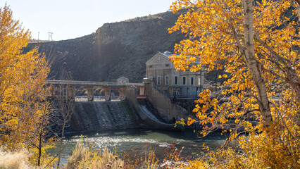 Autumn cottonwood trees on the Boise River at Diversion Dam - obrazy, fototapety, plakaty