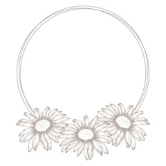 Fototapeta premium Vector round frame with hand-drawn daisy flowers on a transparent background in a minimalistic vintage style for floral salons, beauty, greeting cards and wedding invitations
