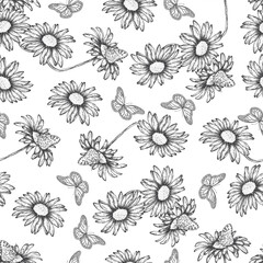 Fototapeta premium Vector pattern with natural graphic elements drawn by hand. Vintage seamless contour drawing with daisy flowers and butterflies on a white background