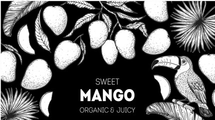 Ripe mango and toucan bird sketch. Hand drawn vector illustration. Tropical fruit. Packaging design, menu design, juice packaging. Mango frame.