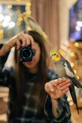 Parrots are sitting on a hand.A girl with birds.Cockatiel parrots of different colors.The owner of...