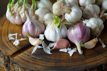 Garlic is a ripe, spicy product, a spice. It is essential in the preparation of many delicious dishes. On an old background in a composition with kitchen accessories.