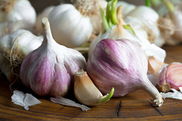 Garlic is a ripe, spicy product, a spice. It is essential in the preparation of many delicious dishes. On an old background in a composition with kitchen accessories.