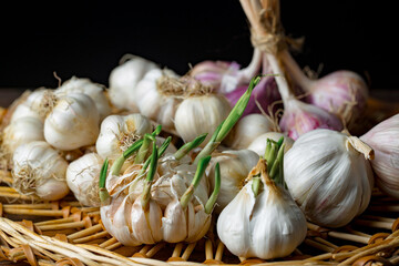 Garlic on a black background in the kitchen - a spicy vegetable