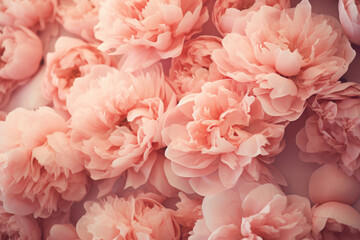 Peach Fuzz peonies background