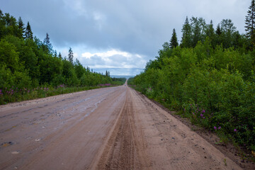 a dirt road into the forest going into the distance.