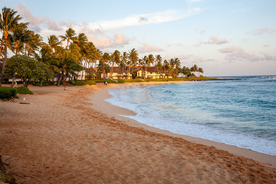 Coconut trees and condominium building along the clean sandy Kiahuna Beach, Poipu, Kauai