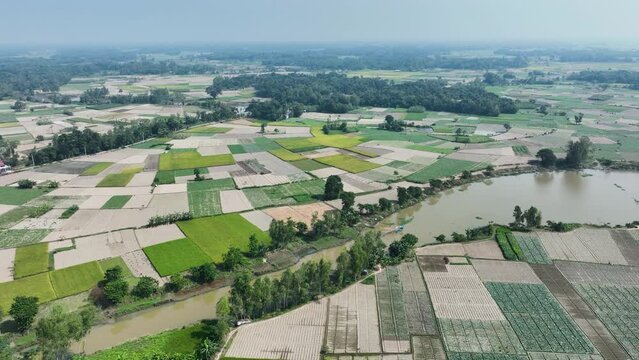 Aerial journey over a sprawling rural landscape, a vibrant kaleidoscope of colors painted by diverse agricultural practices. Patchwork quilt of fields,  showcasing the beauty of nature's palette