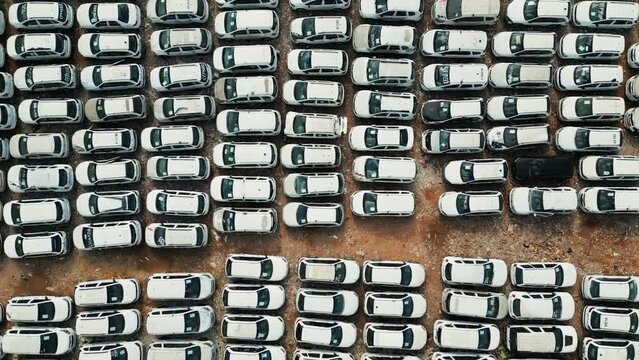 scrapyard junkyard car auction