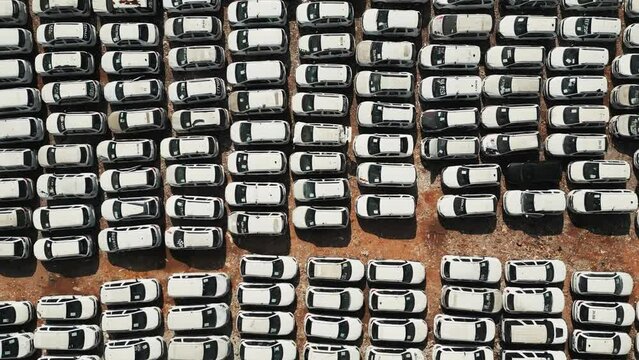 scrapyard junkyard car auction