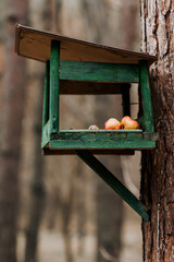 A homemade wooden birdhouse made of boards with food, apples for feeding birds and animals hangs on a tree in the forest.