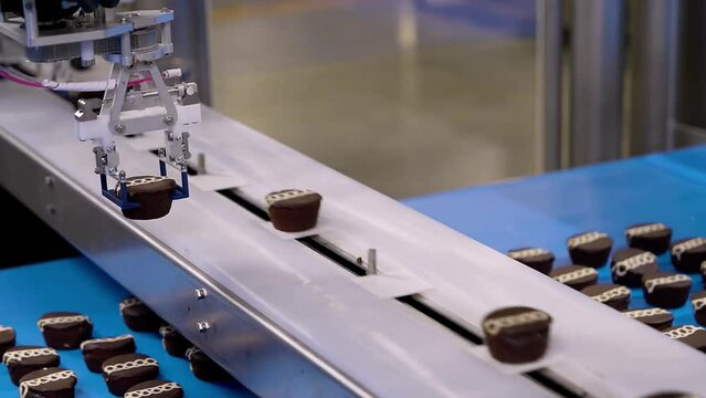 Production line. Burgers. Conveyor line. Industrial processing. Automated food factory. Production of meat products. Сonveyor of a bread factory or bakery.