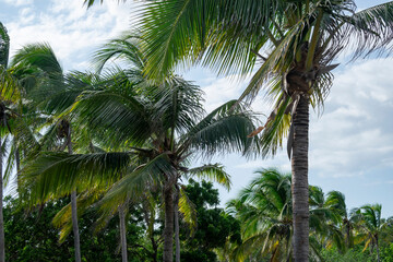 Atardecer en playa Las Lajas en Panama 