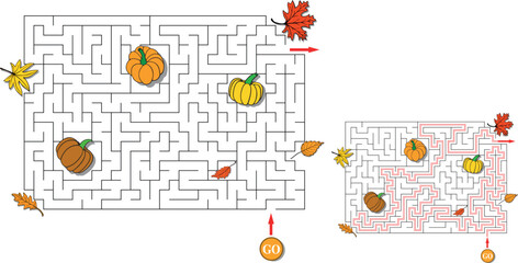 Thanksgiving autumn labyrinth with scattered pumpkins and leaves. Maze with entry and exit. Solution included - red passing route. Children logic game for brain training. Vector illustration
