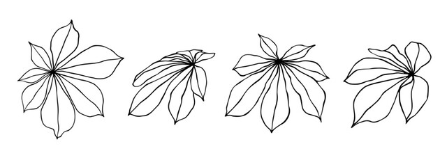 Set of line sketches of chestnut leaves. Vector graphics.