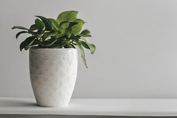 Green plant in a white pot on a white shelf against a gray wall