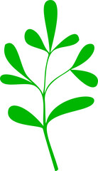 Green leaf isolated on transparent background, ready for element or retouch design