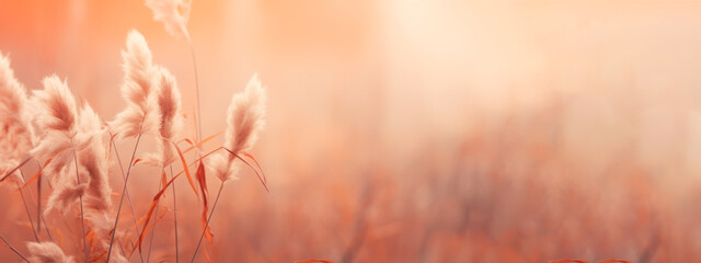 Concept of a wonder and joy, serene and peaceful scene in nature, peach fuzz color 2024, banner copy space 