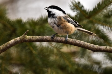 La Plaine 24 Décembre 2023
