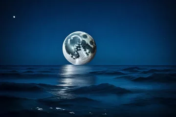 Papier Peint photo autocollant Pleine Lune arbre Moon setting in the sea