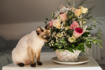 Portrait cat sitting on top of table with flowers, aesthetic siamese cat. Pet concept. Copy space