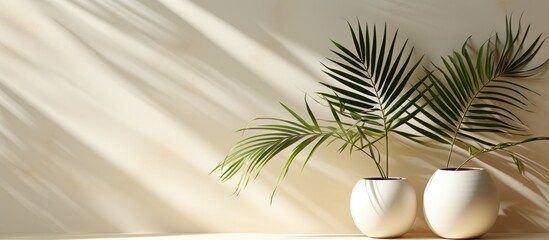 Obraz premium abstract background for product presentation, with Shadows from palm leaves, on a cream colored wall