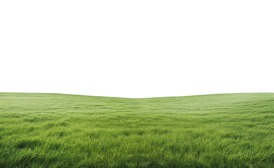 Lush Green Grass Field Under Clear Sky