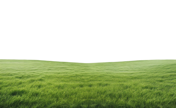 Lush Green Grass Field Under Clear Sky