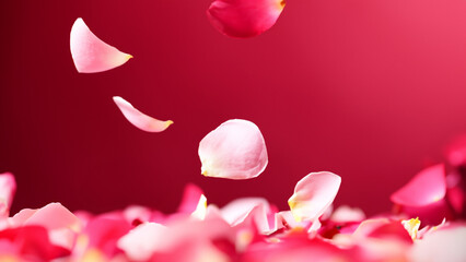 Graceful Rose Petals Floating on a Deep Red Dreamy Background