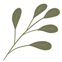 leaves isolated on white background