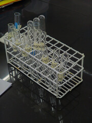 Labelled Test Tubes in a Test Tube Rack