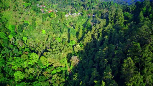 Aerial view of drone flying approaching a forest in a village in Ponorogo, East Java, Indonesia. Aerial drone footage.