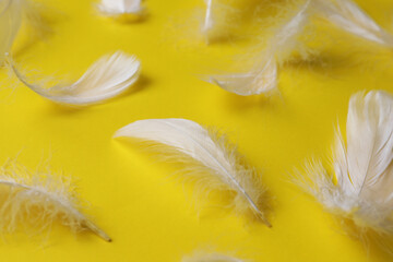 Many fluffy bird feathers on yellow background, closeup