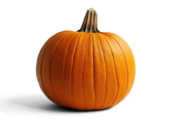 Fresh organic Orange Autumn Pumpkin | Transparent & White Background | PNG File with Transparency