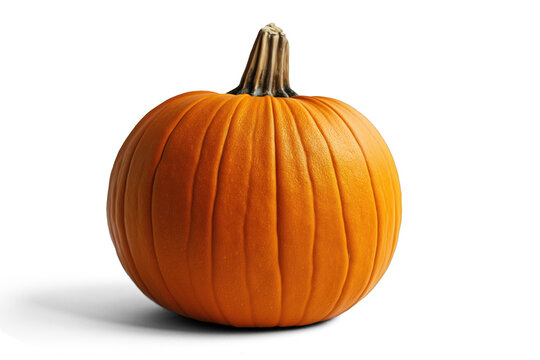 Fresh organic Orange Autumn Pumpkin | Transparent & White Background | PNG File with Transparency