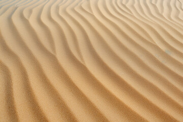 Obraz premium closeup photography of a beach carpet at a very beatiful beach with light sand and a paradisiac beach sea, beach, beach carpet, closeup, sand, lightsand, sea, paradisiac beach, paradisiac sea, show mo